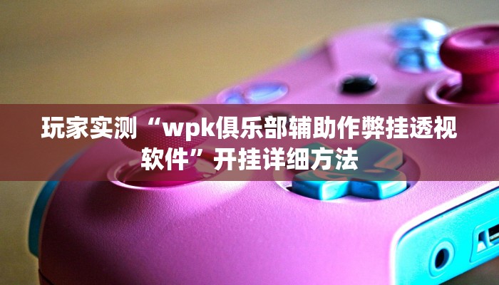 辅助神器“天天休闲确实有挂吗”(透视)详细开挂玩法