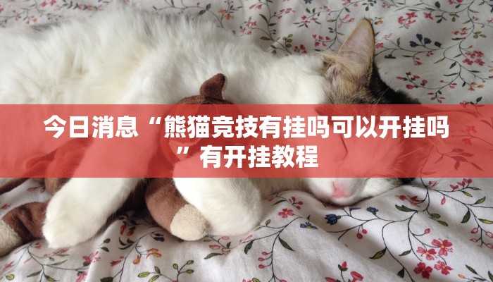 分析实测“红火众娱透视”![果然有透视挂]