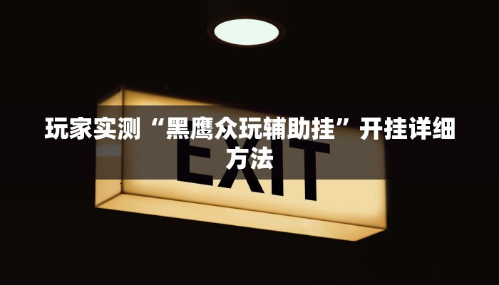 玩家实测“黑鹰众玩辅助挂”开挂详细方法