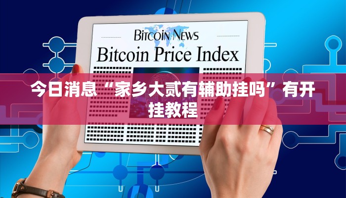 今日消息“家乡大贰有辅助挂吗”有开挂教程