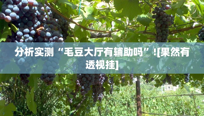 玩家必看教程“乐启互娱是不是有挂吗”(透视)开挂步骤方法