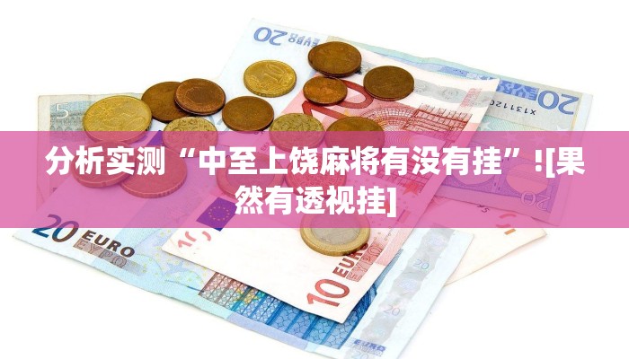 分析实测“中至上饶麻将有没有挂”![果然有透视挂]