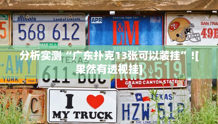 分析实测“广东扑克13张可以装挂”![果然有透视挂]