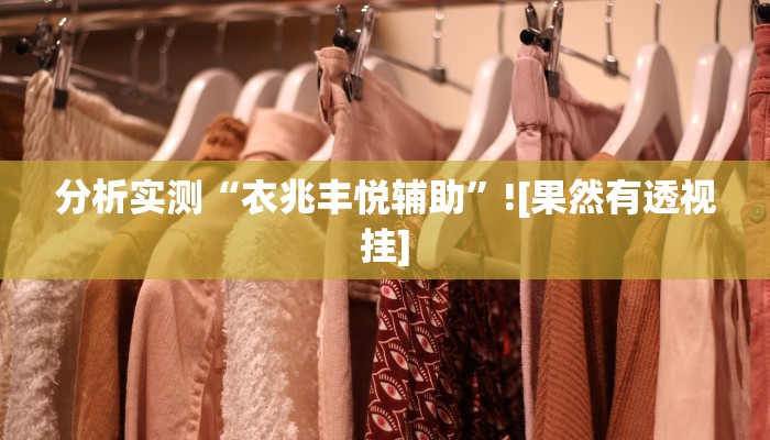 分析实测“衣兆丰悦辅助”![果然有透视挂]