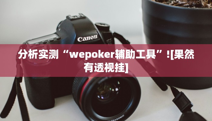分析实测“wepoker辅助工具”![果然有透视挂]