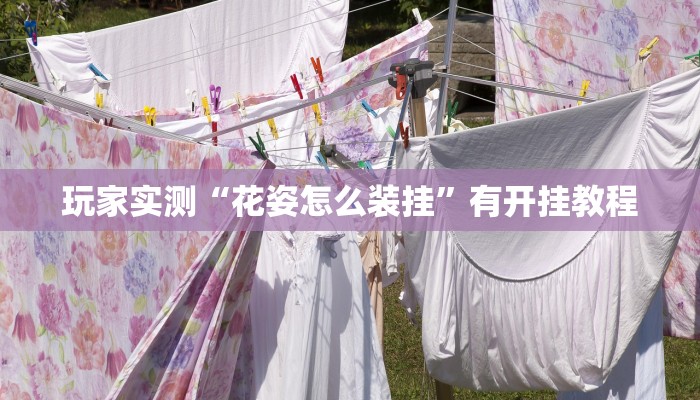 玩家实测“花姿怎么装挂”有开挂教程