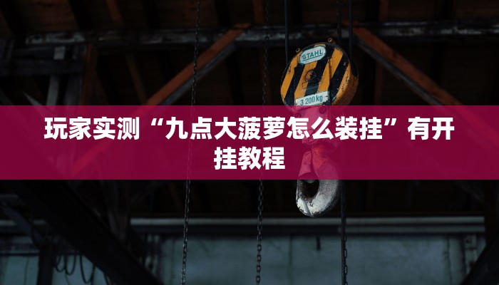 玩家实测“九点大菠萝怎么装挂”有开挂教程