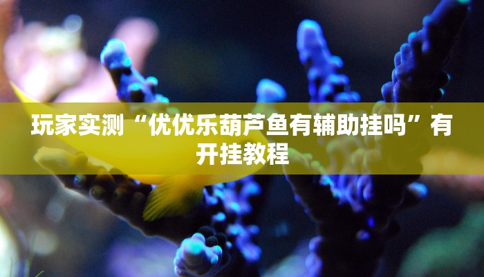 玩家实测“优优乐葫芦鱼有辅助挂吗”有开挂教程