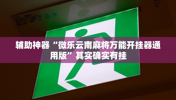 辅助神器“微乐云南麻将万能开挂器通用版”其实确实有挂 辅助神器“微乐云南麻将万能开挂器通用版”其实确实有挂