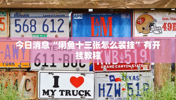 今日消息“闲鱼十三张怎么装挂”有开挂教程