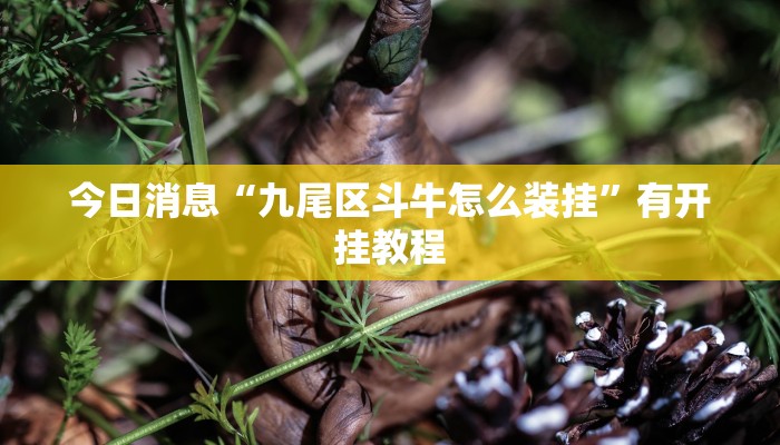 今日消息“九尾区斗牛怎么装挂”有开挂教程