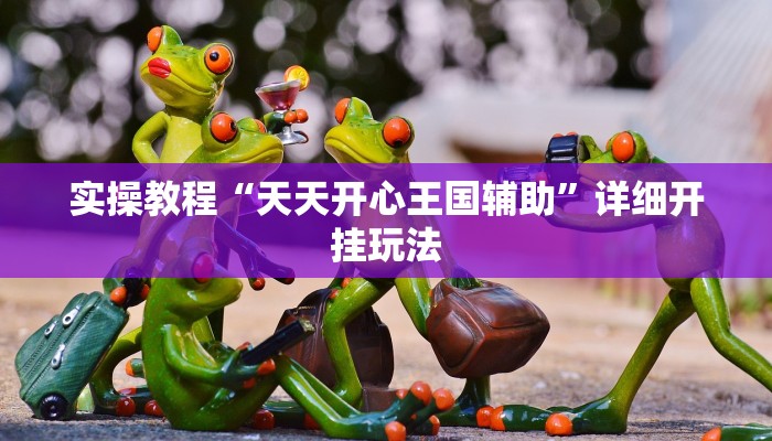 实操教程“天天开心王国辅助”详细开挂玩法