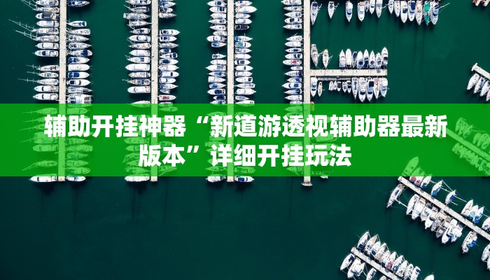 辅助开挂神器“新道游透视辅助器最新版本”详细开挂玩法