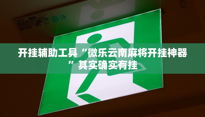 开挂辅助工具“微乐云南麻将开挂神器”其实确实有挂