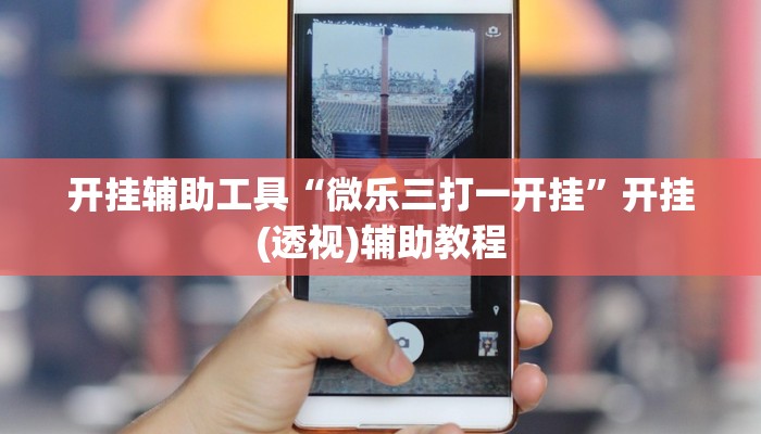 开挂辅助工具“微乐三打一开挂”开挂(透视)辅助教程