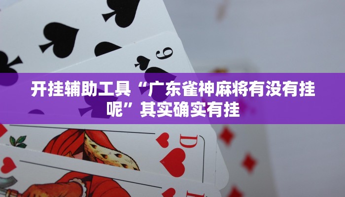 开挂辅助工具“广东雀神麻将有没有挂呢”其实确实有挂