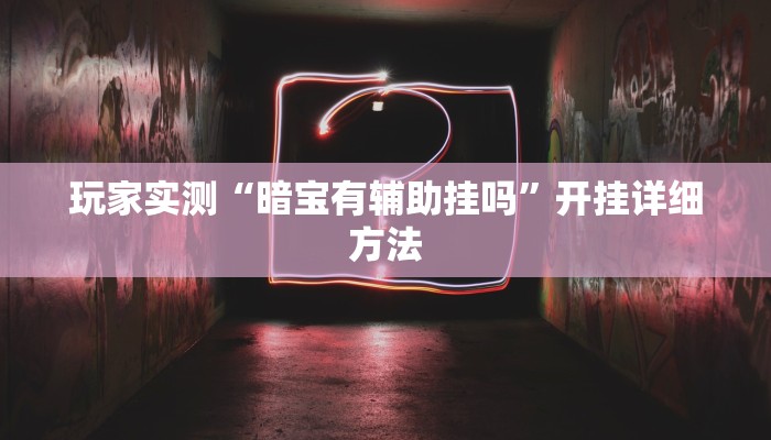 玩家实测“暗宝有辅助挂吗”开挂详细方法