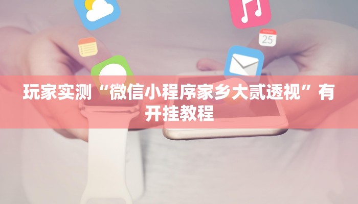 玩家实测“微信小程序家乡大贰透视”有开挂教程