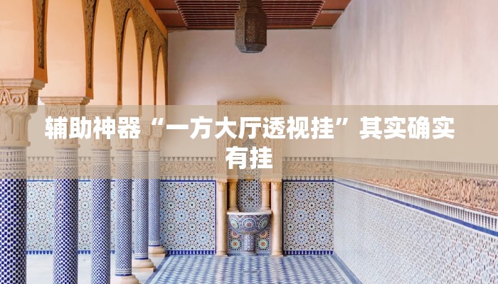 辅助神器“一方大厅透视挂”其实确实有挂 辅助神器“一方大厅透视挂”其实确实有挂