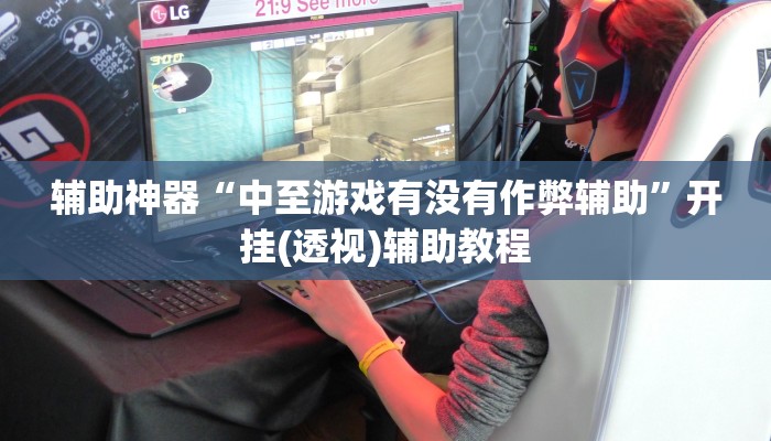 辅助神器“中至游戏有没有作弊辅助”开挂(透视)辅助教程