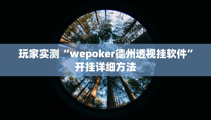 玩家实测“wepoker德州透视挂软件”开挂详细方法
