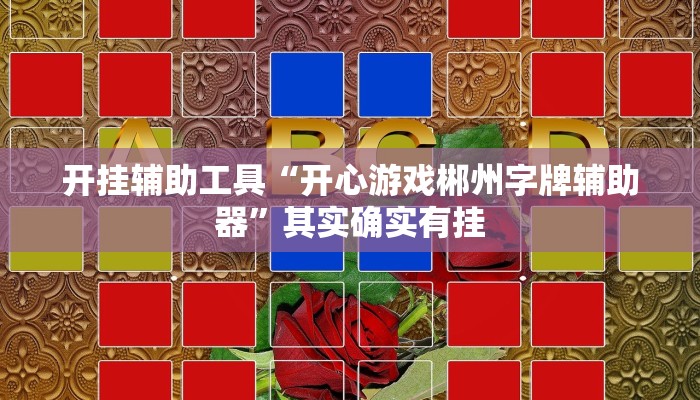 开挂辅助工具“开心游戏郴州字牌辅助器”其实确实有挂