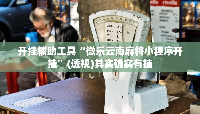 辅助神器“中至吉安麻将怎么开挂”其实确实有挂