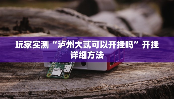 玩家实测“泸州大贰可以开挂吗”开挂详细方法