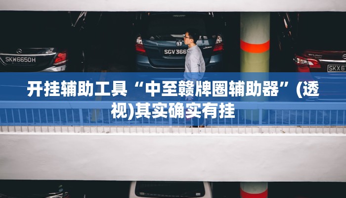 开挂辅助工具“中至赣牌圈辅助器”(透视)其实确实有挂 开挂辅助工具“中至赣牌圈辅助器”(透视)其实确实有挂