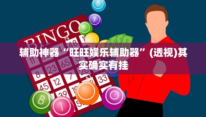 辅助神器“旺旺娱乐辅助器”(透视)其实确实有挂
