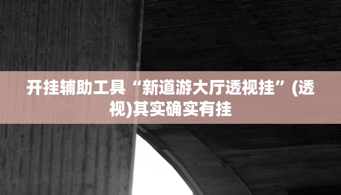 辅助神器“新二号大厅其实真有透视挂的”详细开挂玩法