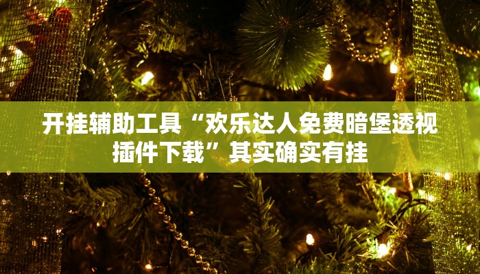 开挂辅助工具“欢乐达人免费暗堡透视插件下载”其实确实有挂