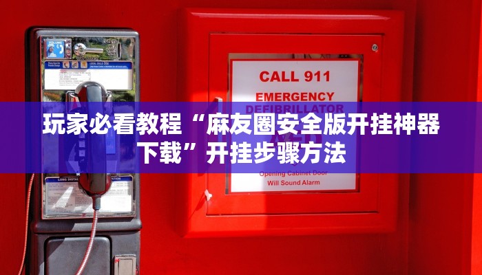 玩家必看教程“麻友圈安全版开挂神器下载”开挂步骤方法