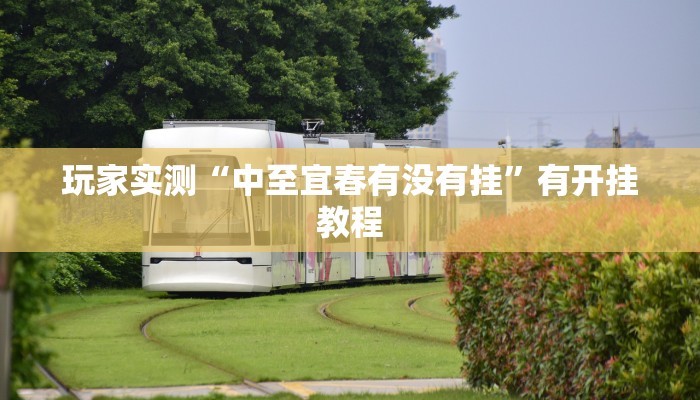 玩家实测“中至宜春有没有挂”有开挂教程