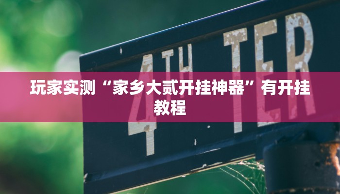 玩家实测“家乡大贰开挂神器”有开挂教程