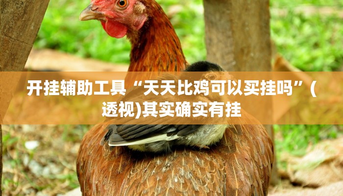 开挂辅助工具“天天比鸡可以买挂吗”(透视)其实确实有挂 开挂辅助工具“天天比鸡可以买挂吗”(透视)其实确实有挂