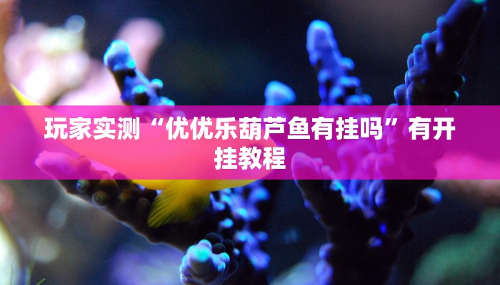 玩家实测“优优乐葫芦鱼有挂吗”有开挂教程 玩家实测“优优乐葫芦鱼有挂吗”有开挂教程