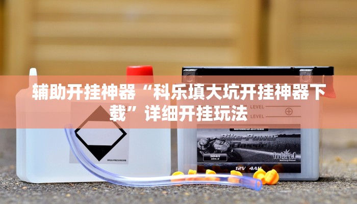 辅助开挂神器“科乐填大坑开挂神器下载”详细开挂玩法