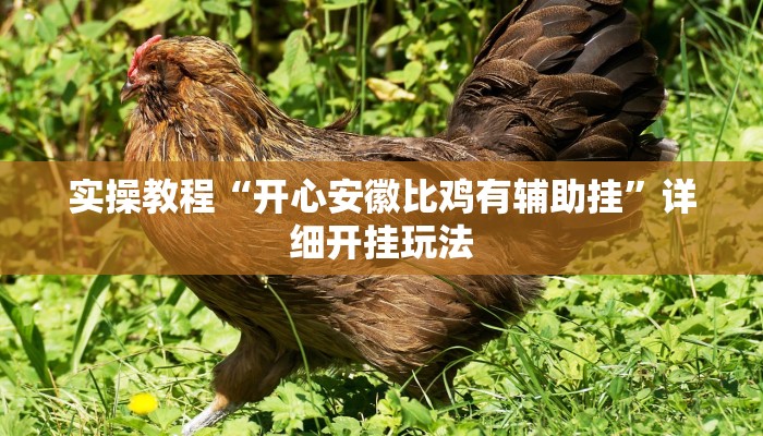 实操教程“开心安徽比鸡有辅助挂”详细开挂玩法