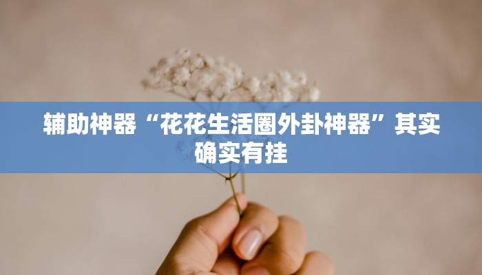 辅助神器“花花生活圈外卦神器”其实确实有挂