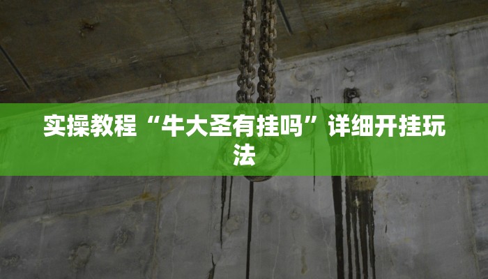 实操教程“牛大圣有挂吗”详细开挂玩法 实操教程“牛大圣有挂吗”详细开挂玩法
