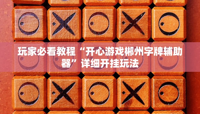 玩家必看教程“开心游戏郴州字牌辅助器”详细开挂玩法
