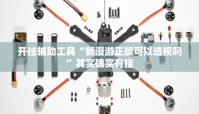 开挂辅助工具“新漫游正版可以透视吗”其实确实有挂