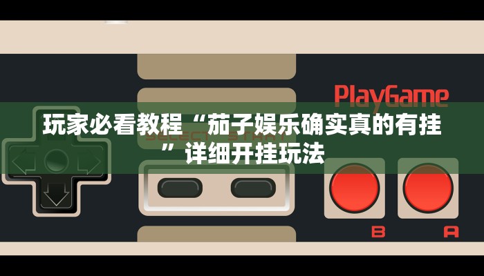 实操教程“天天黄石麻将有挂吗”详细开挂玩法