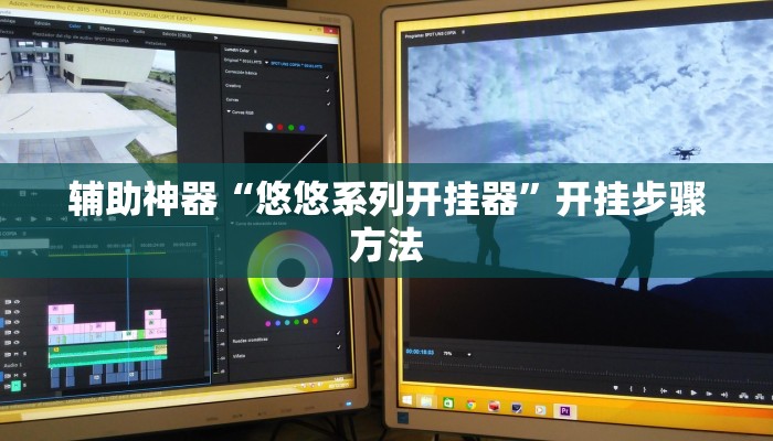 辅助神器“悠悠系列开挂器”开挂步骤方法