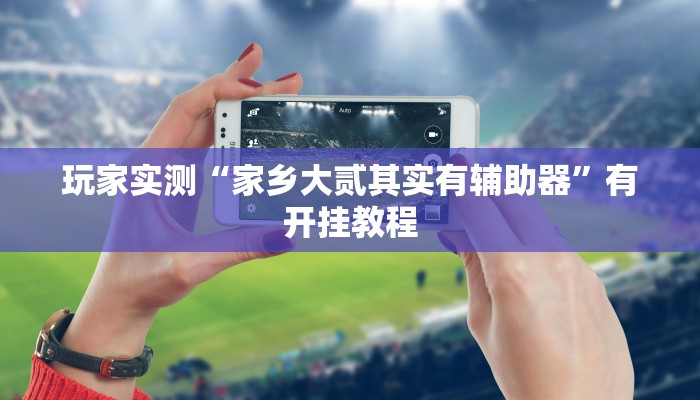 玩家实测“家乡大贰其实有辅助器”有开挂教程