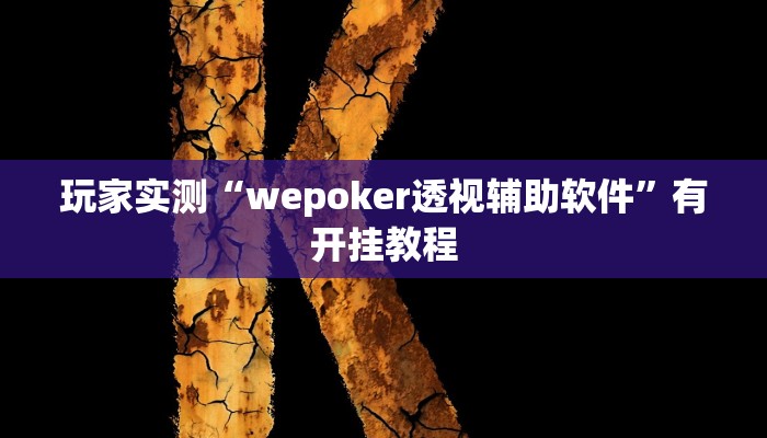 玩家实测“wepoker透视辅助软件”有开挂教程