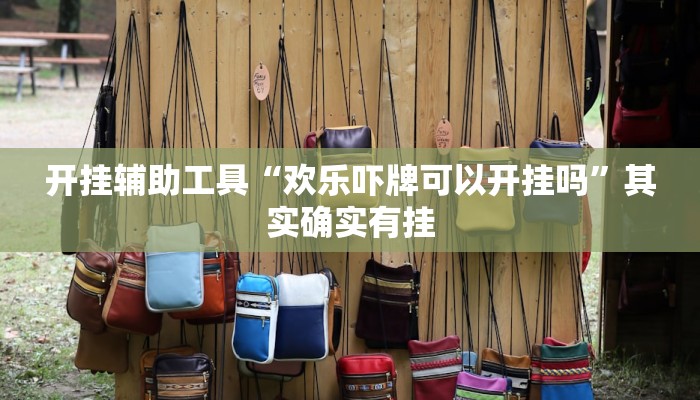 开挂辅助工具“欢乐吓牌可以开挂吗”其实确实有挂