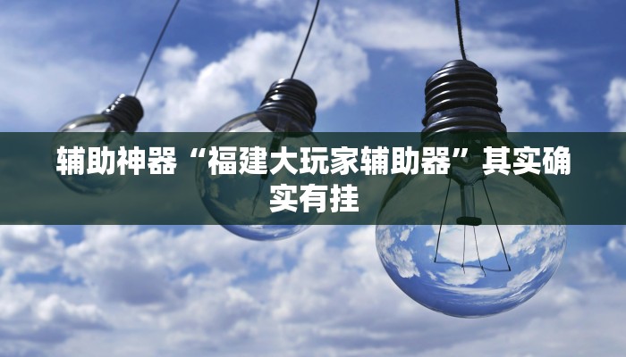 辅助神器“福建大玩家辅助器”其实确实有挂