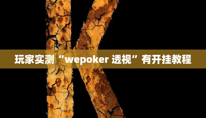 玩家实测“wepoker 透视”有开挂教程 玩家实测“wepoker 透视”有开挂教程